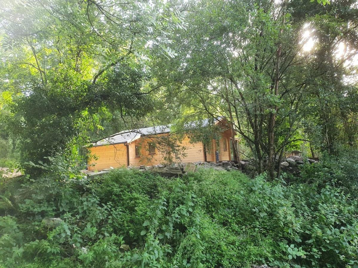 Stunning Log Cabin On The Lake Villa Portroe Esterno foto